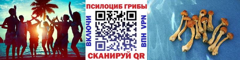 что такое   Южноуральск  Псилоцибиновые грибы ЛСД 