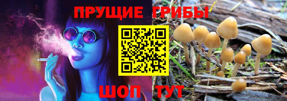 Псилоцибиновые грибы Psilocybine cubensis  Вход с VPN  наркота  Южноуральск 