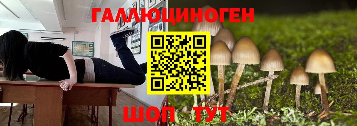 Галлюциногенные грибы прущие грибы Южноуральск
